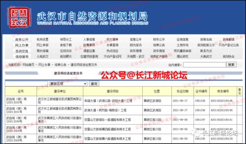 長江新區(qū)武湖兩大動脈即將啟動建設(shè)，不動產(chǎn)登記代理服務(wù)迎發(fā)展新機(jī)